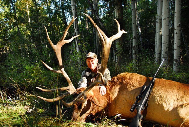 four-reasons-why-elk-are-the-ultimate-animal-to-hunt